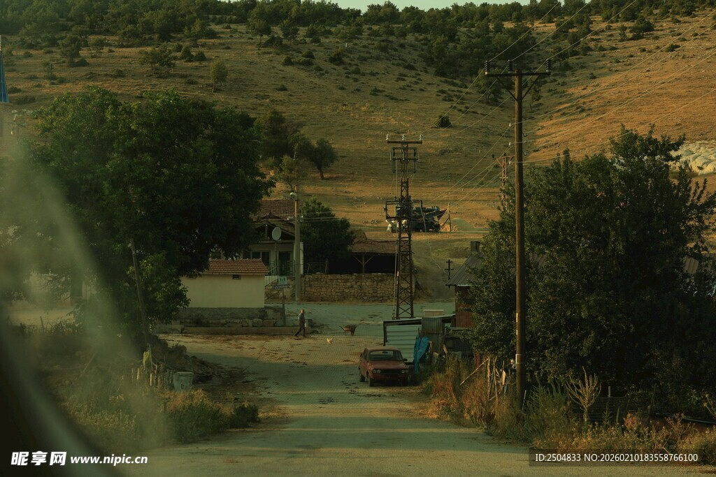 乡村道路边的景色
