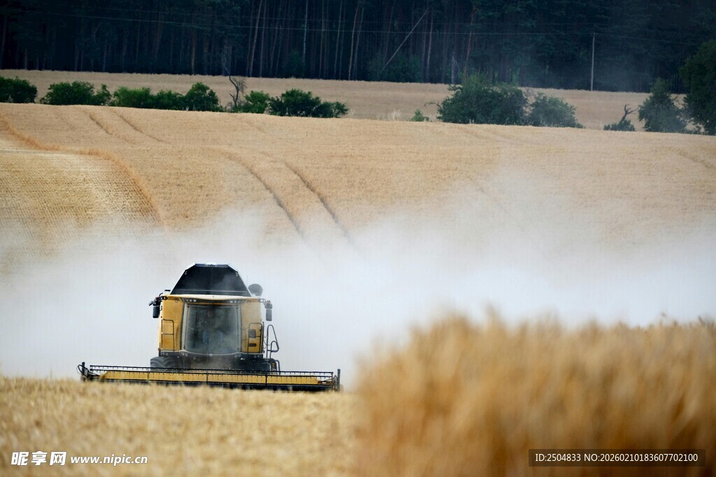 麦田中的联合 割机作业