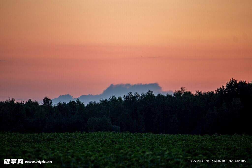 日落时分的田野森林景观