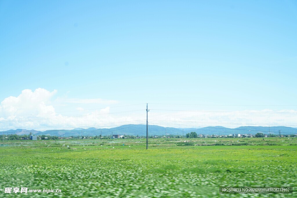 广袤绿野 蓝天远山之景