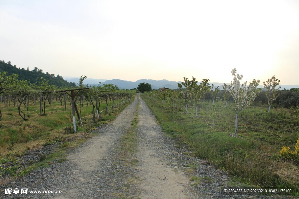 乡间土路 田园风光初现