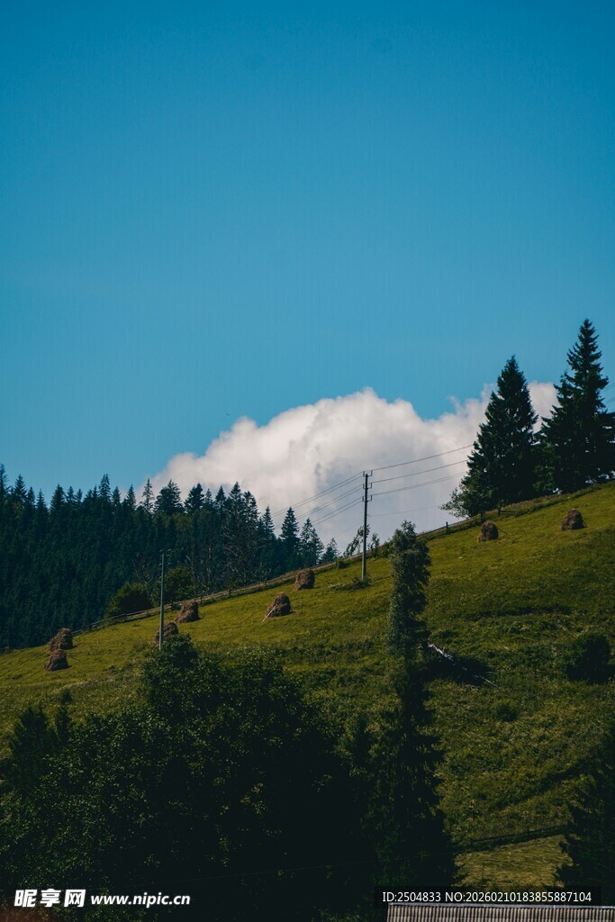 青山绿树间的美丽景致