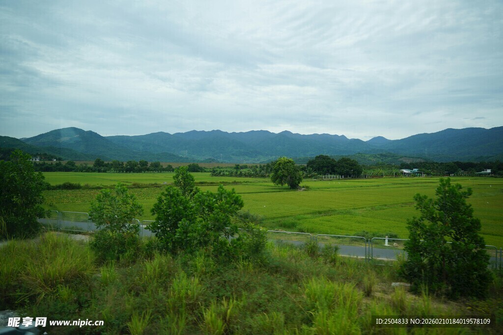 田园绿野间的自然景致