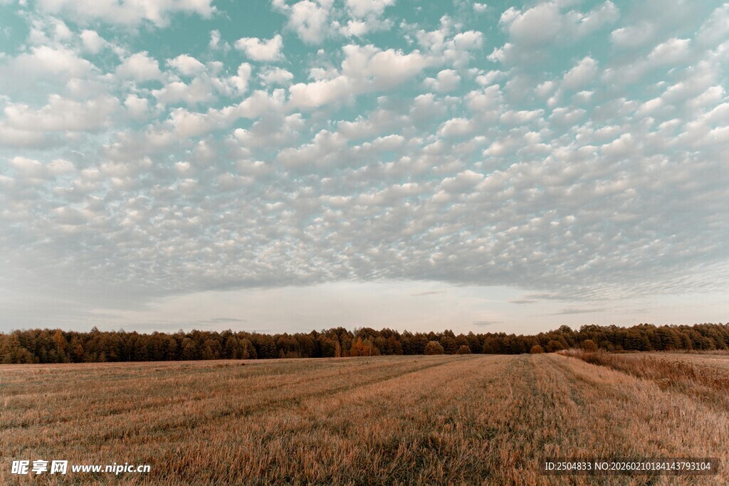 秋日旷野 云下广袤田野