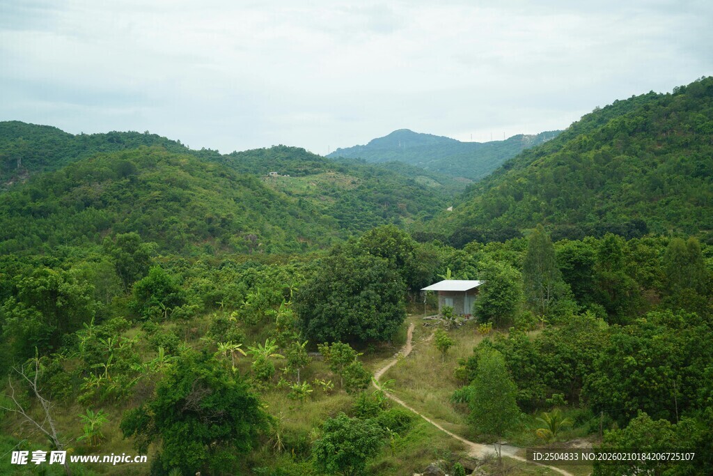 山间小屋隐于葱郁绿野