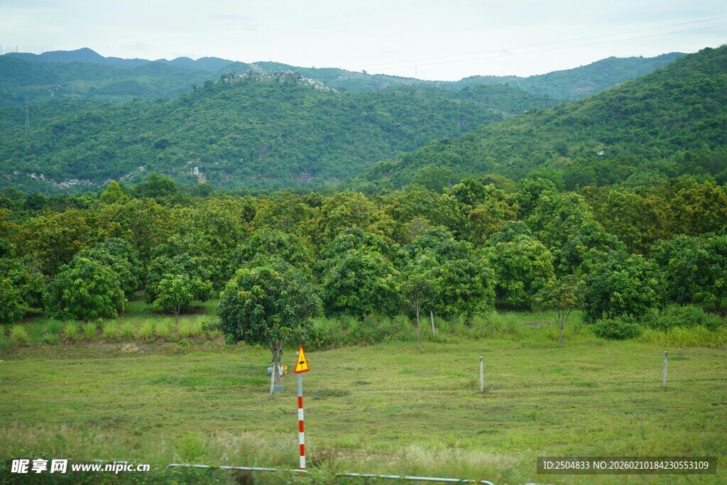 山间绿野中的徒步者