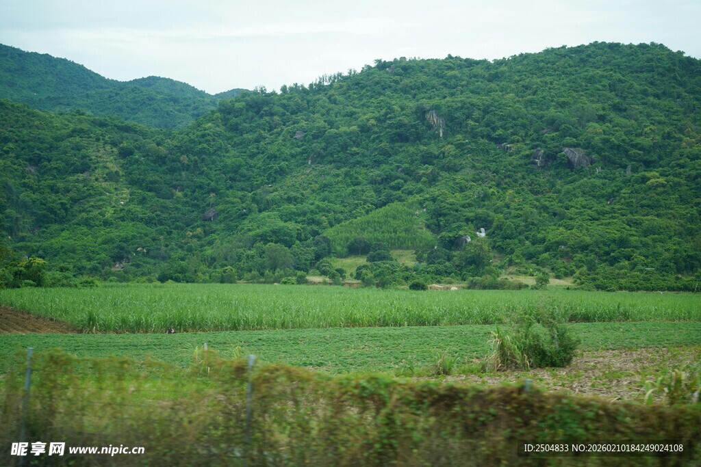 青山绿野间的田园风光