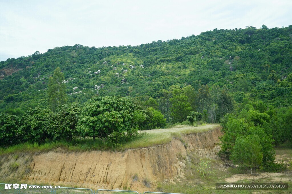 山坡植被与裸露土坡景观