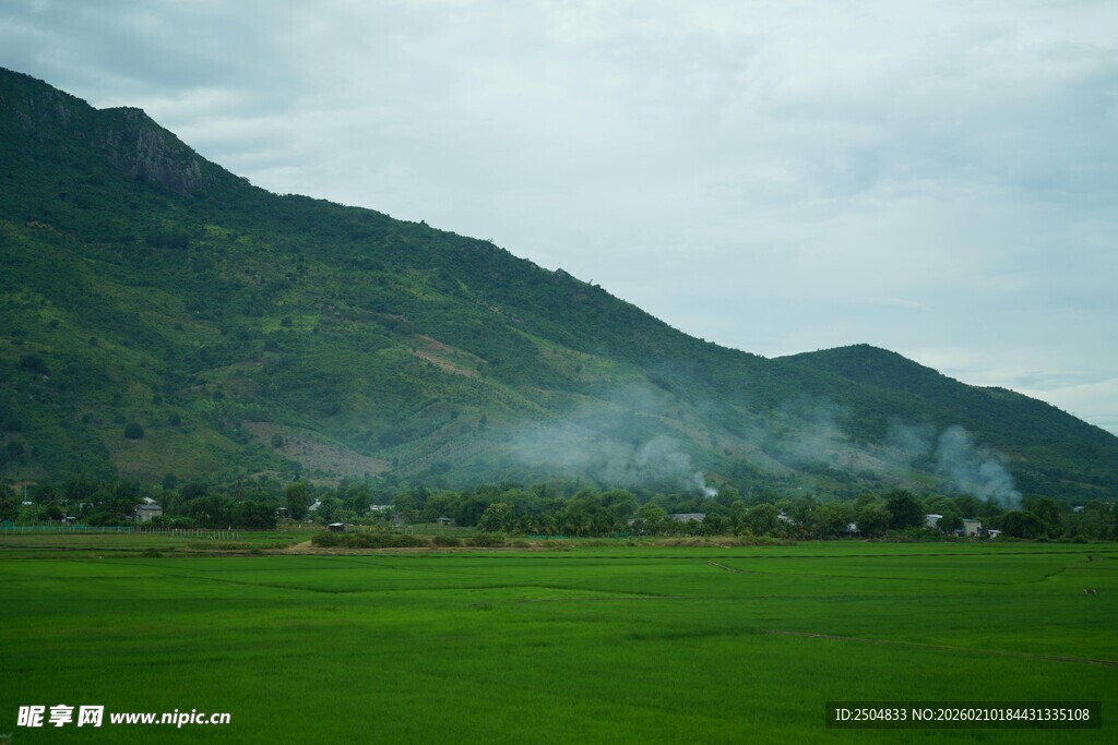 青山下的翠绿田野
