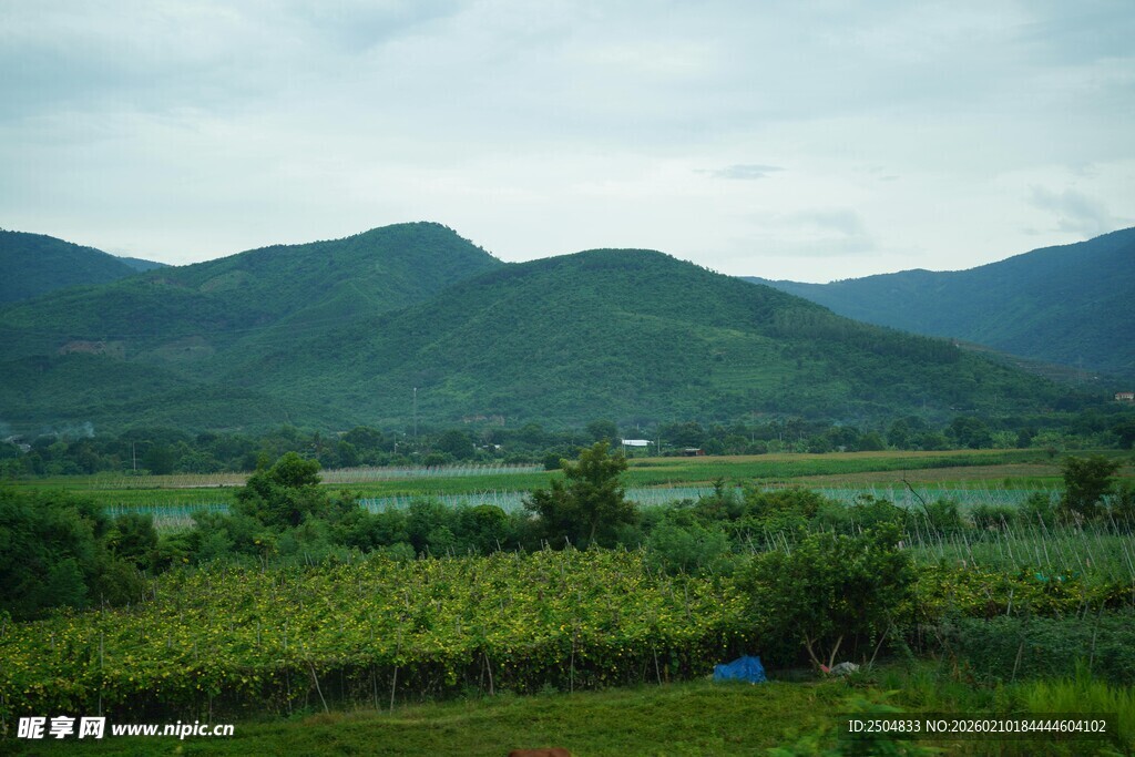 山间绿野田园风光美景