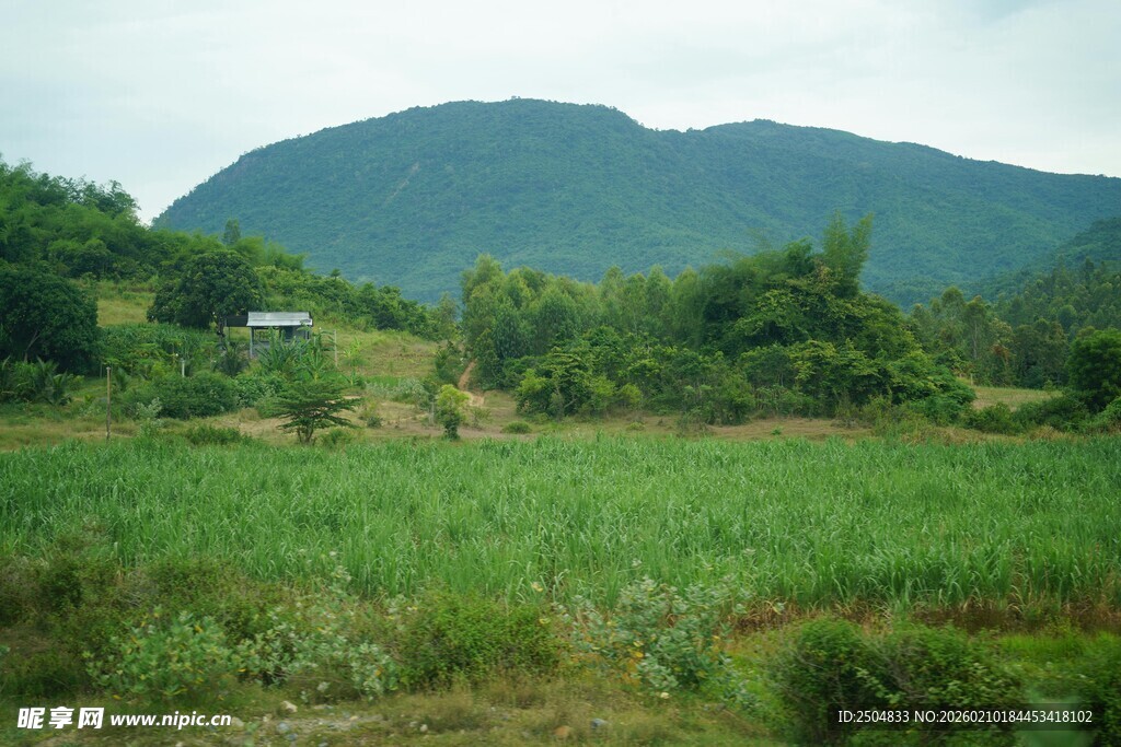 山间绿野风光