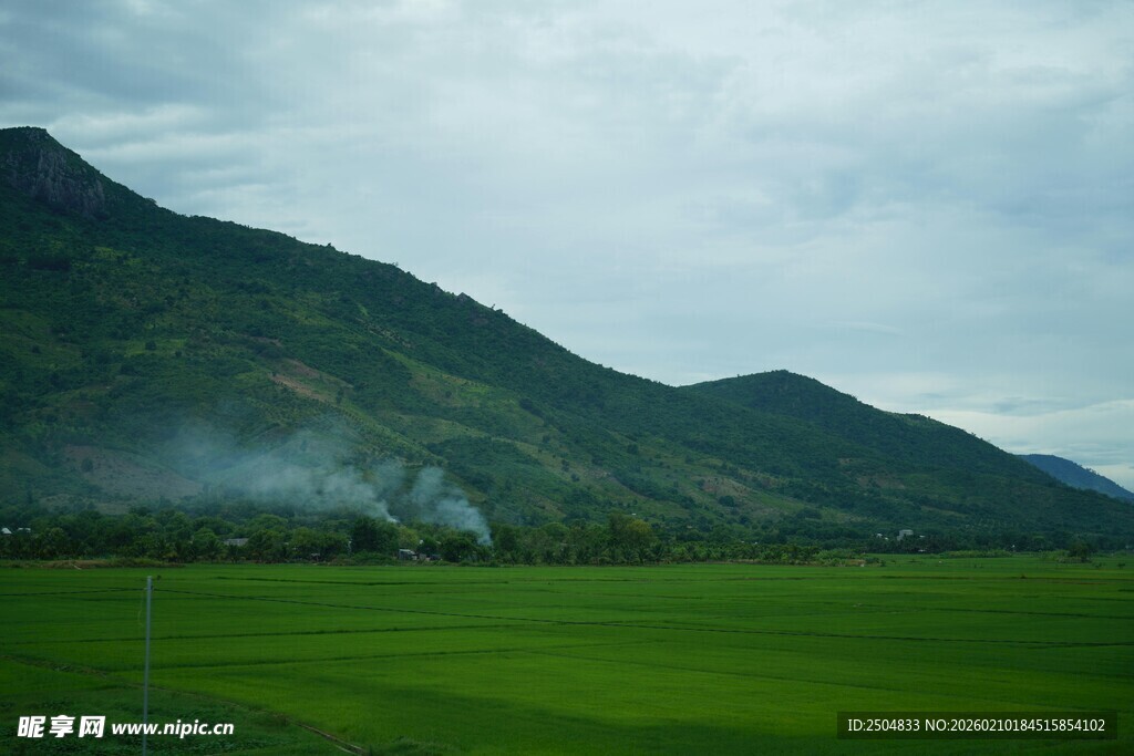 青山下的翠绿田野