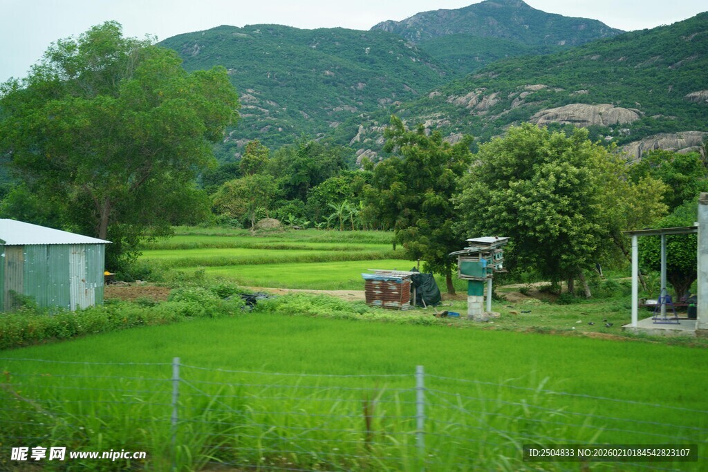 田园风光中的乡村景致