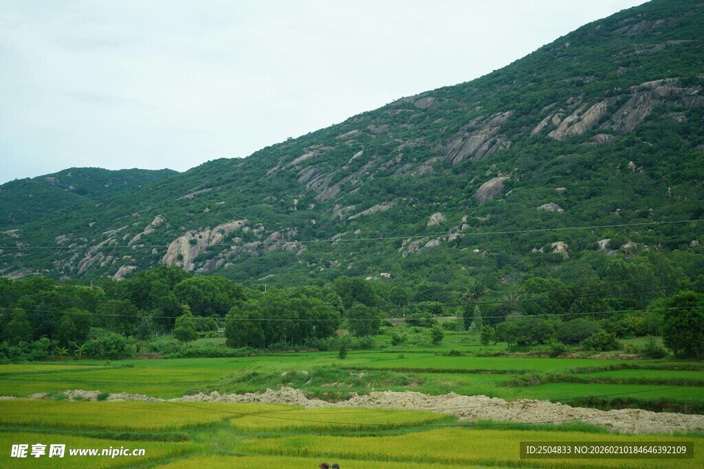 山间绿野田园风光