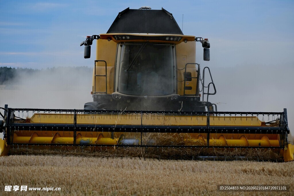农田中的黄色联合 割机