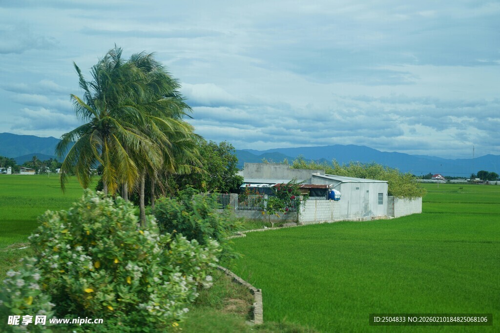 田园风光中的小屋与绿植