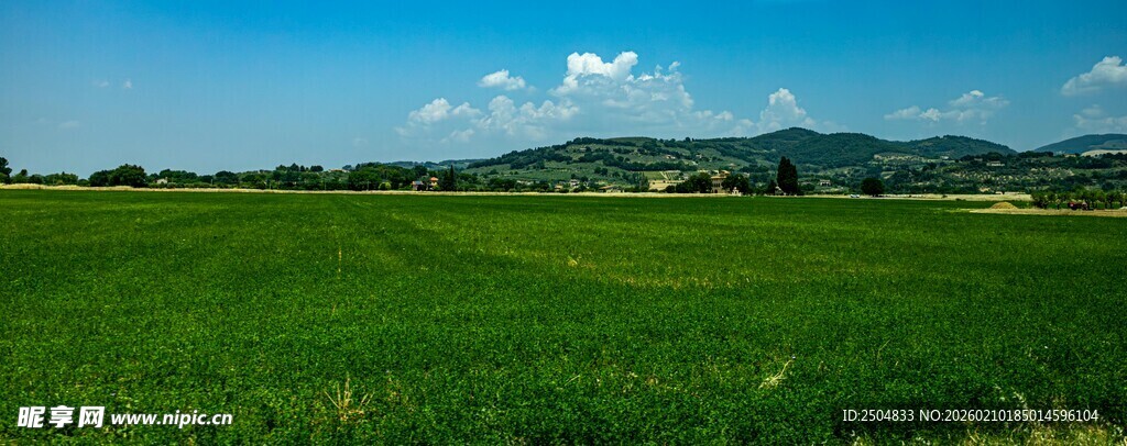 广袤绿野 蓝天远山相伴