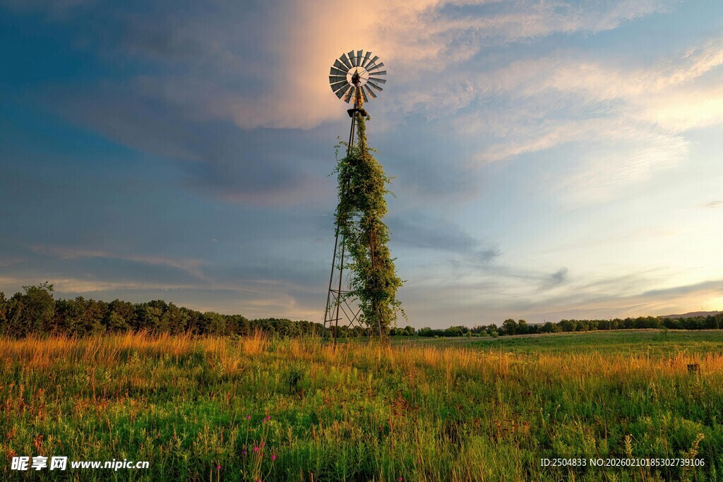 田野中的风车景观