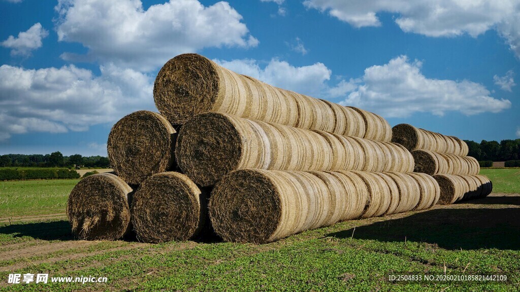 田野中的巨大干草堆
