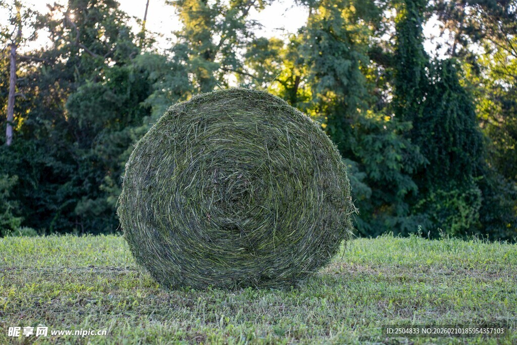 田野中的巨大草垛