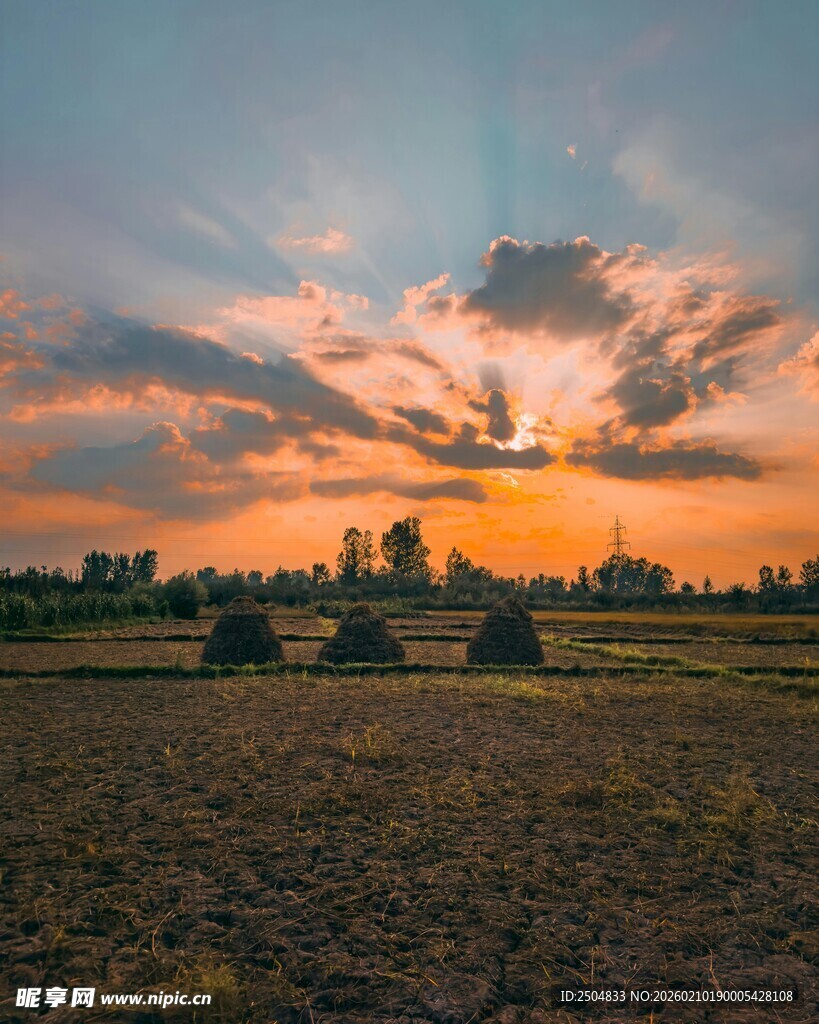 田野上的绚烂日落美景
