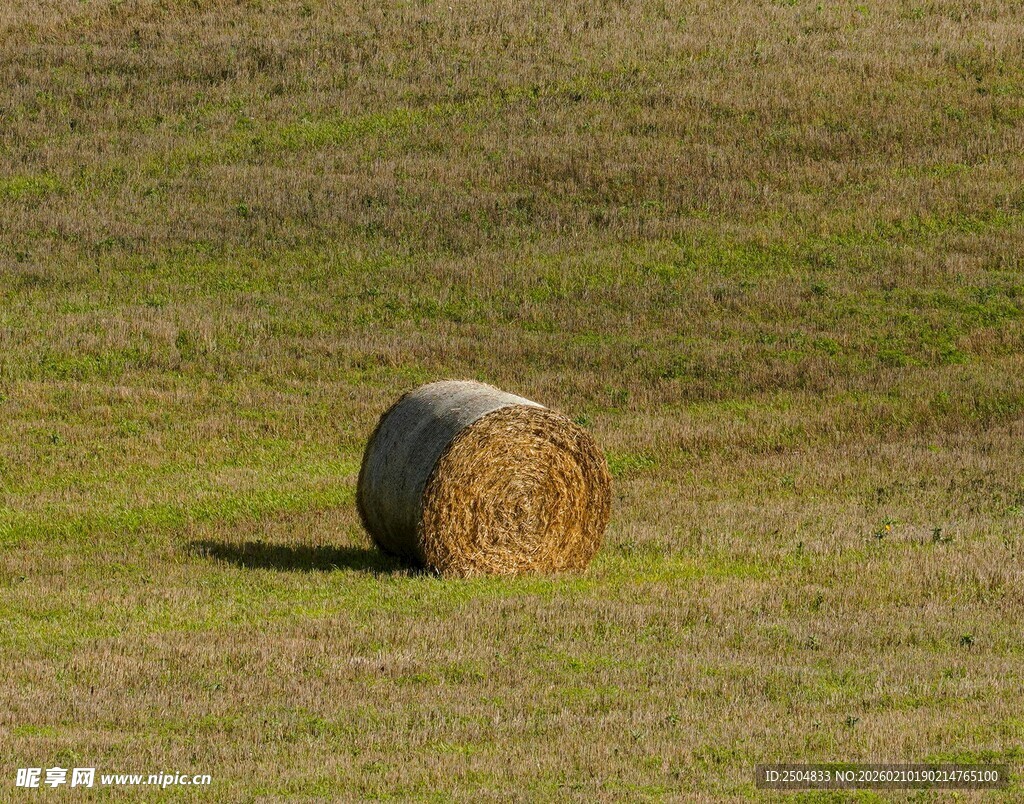 田野中的干草卷