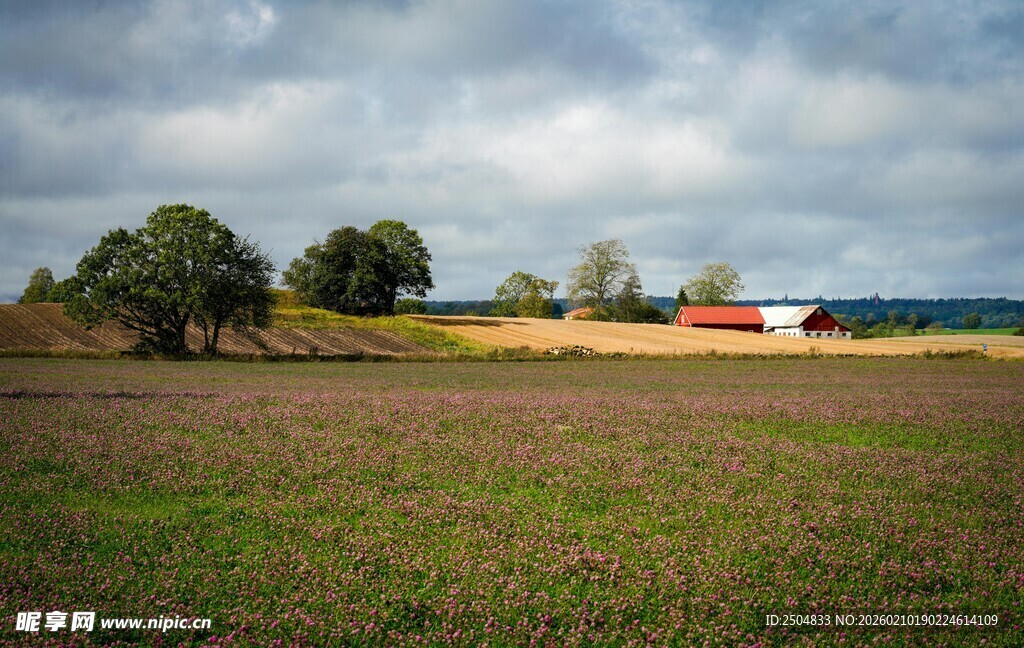 乡村田野风光美景