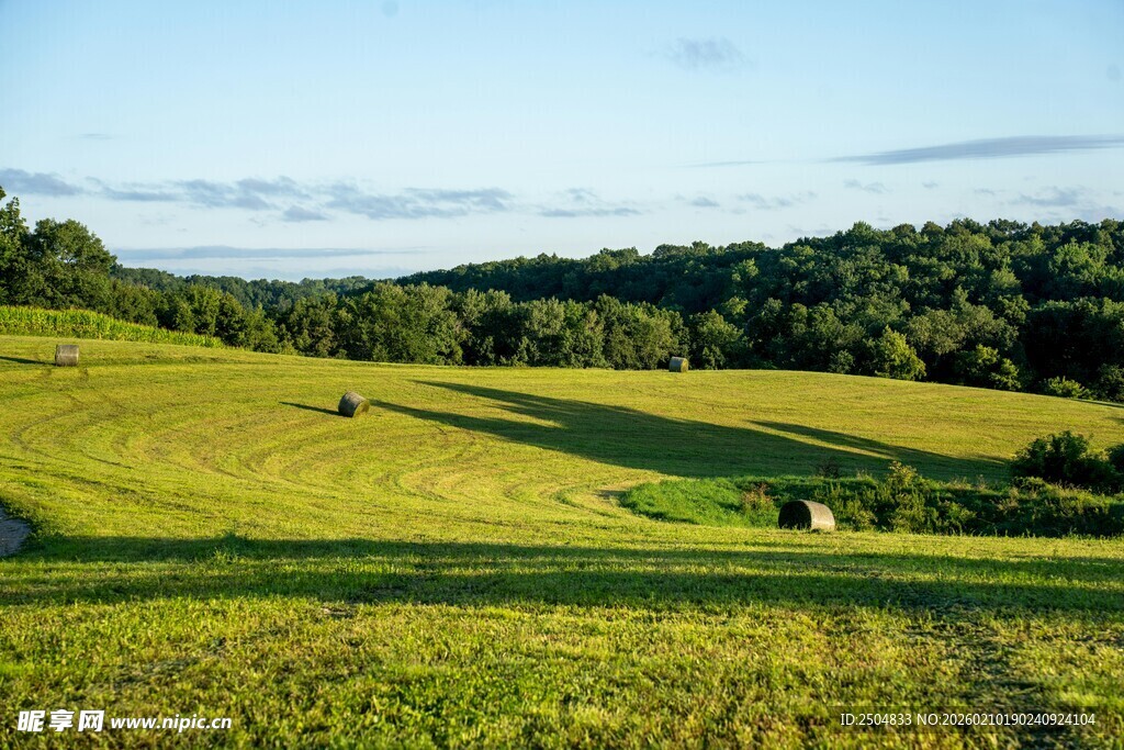 广袤绿野风光