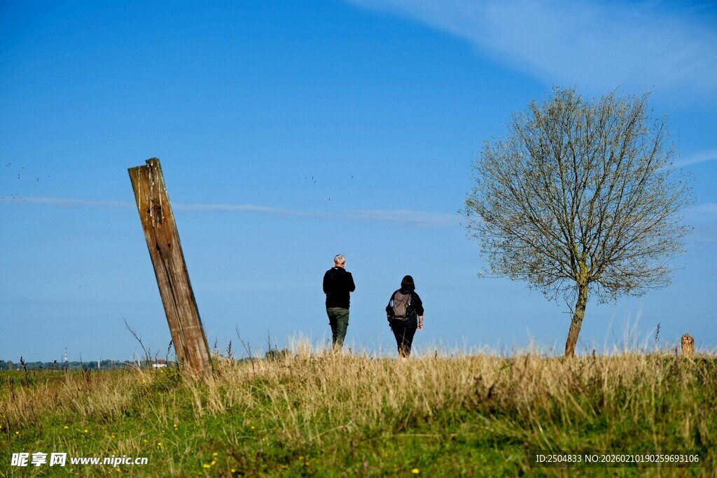 田野漫步的两人与孤树