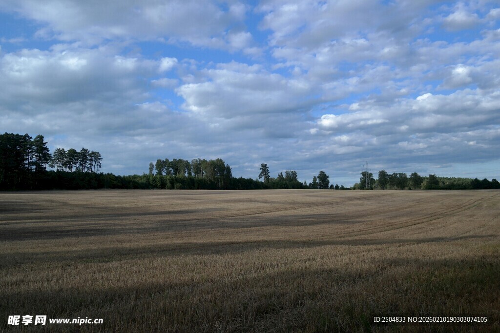 广袤田野与蓝天白云