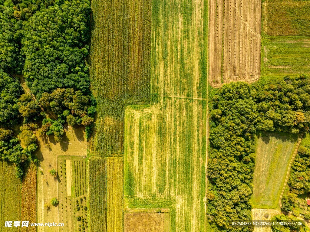 俯瞰多彩田园风光