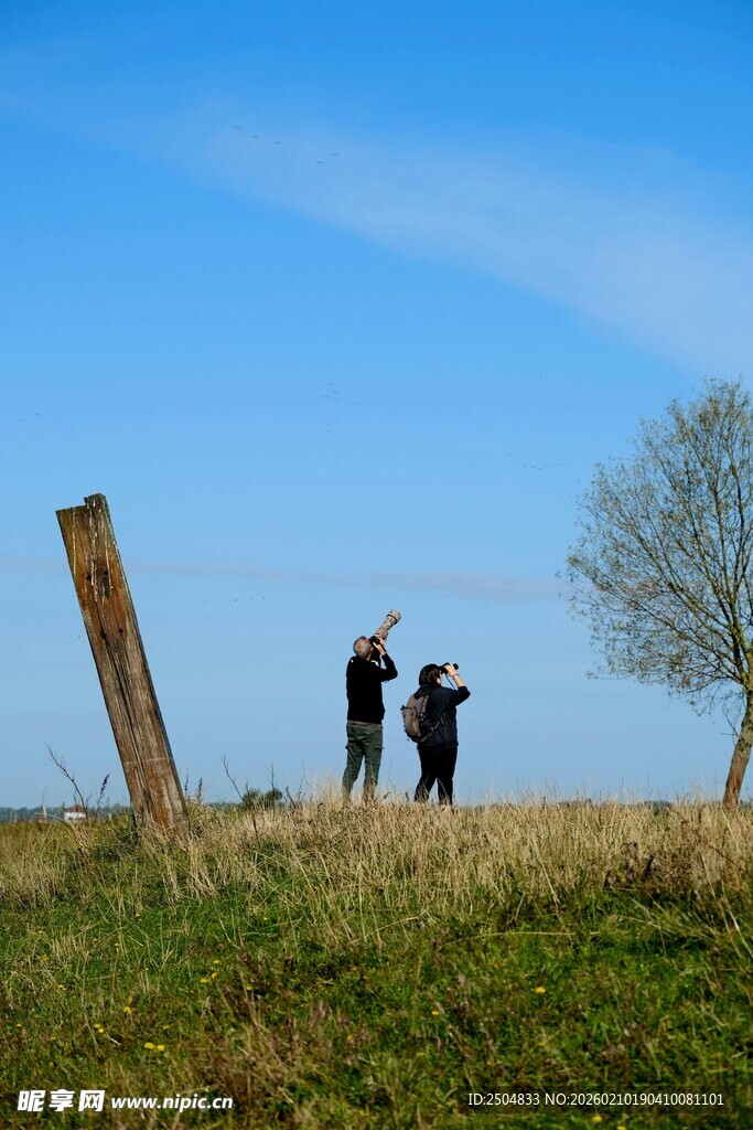 田野上的两人与木桩