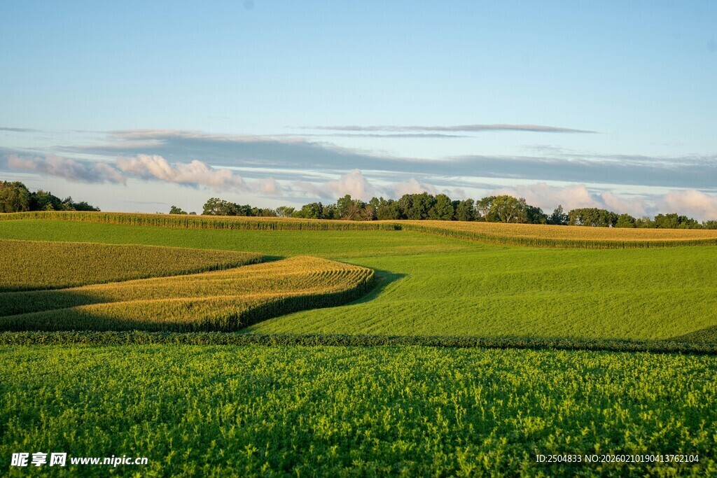 广袤绿野田园风光