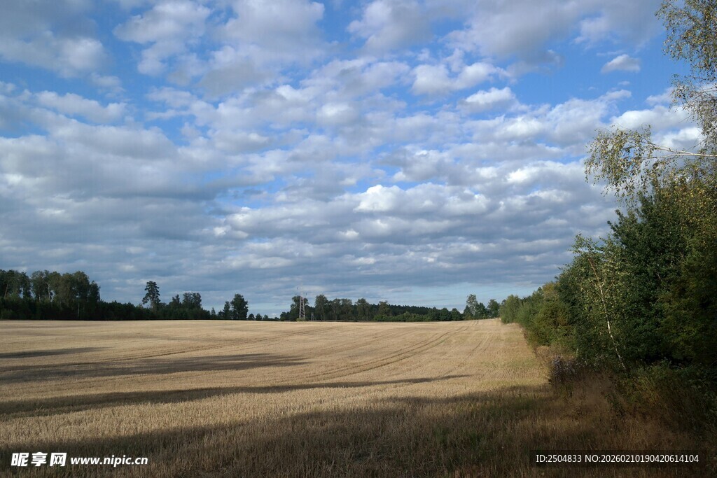 田野风光 蓝天白云相伴