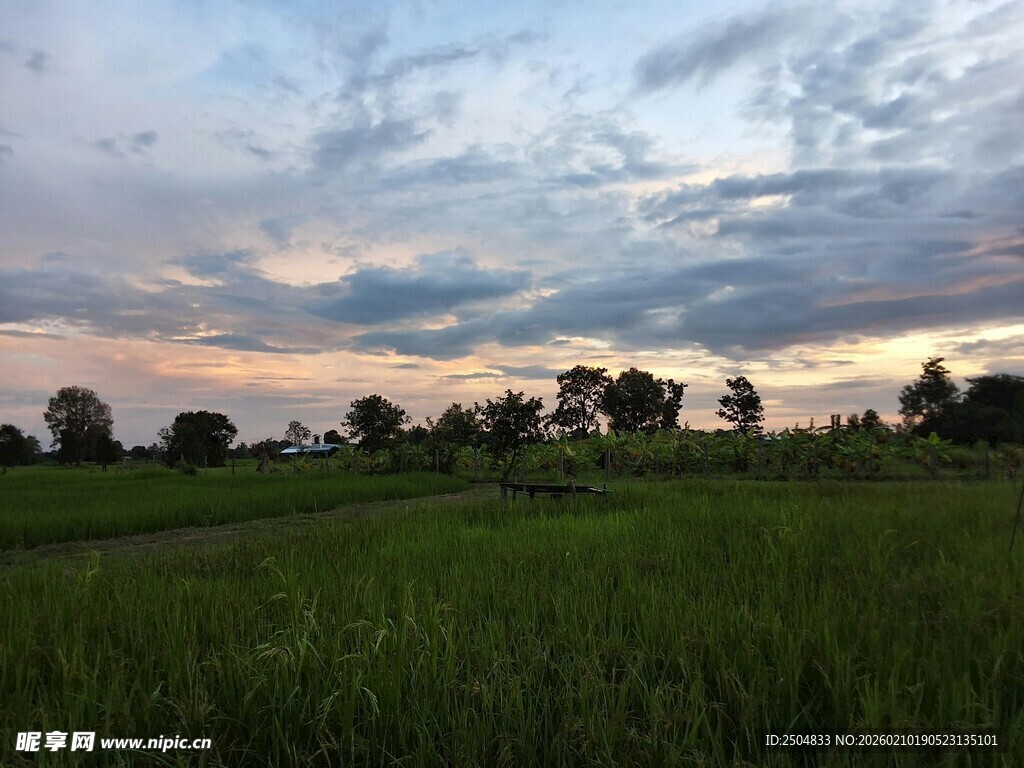 黄昏下的田野风光