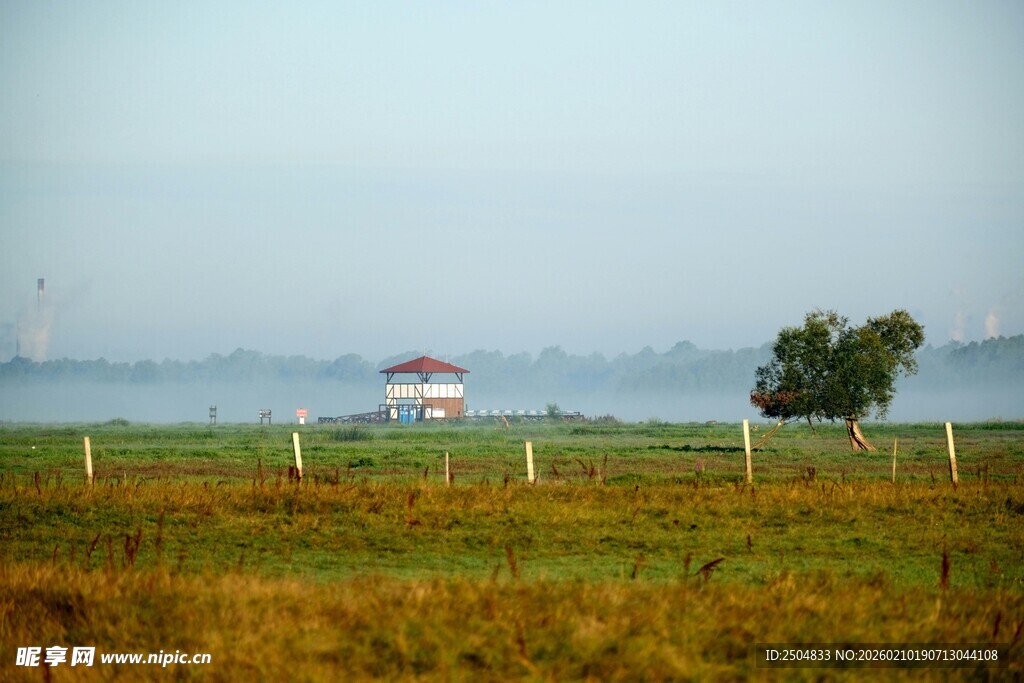 田野中的小屋与孤树