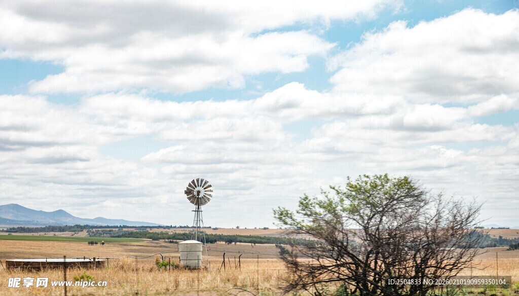旷野中的风车与稀疏植被