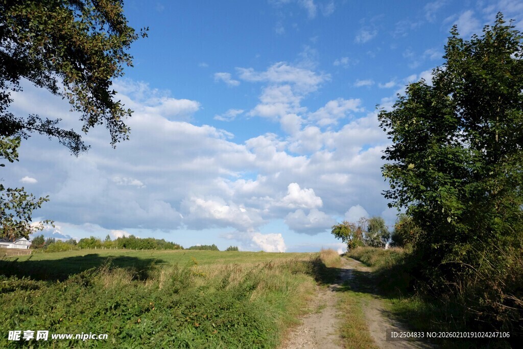 乡间小路 田园风光美景