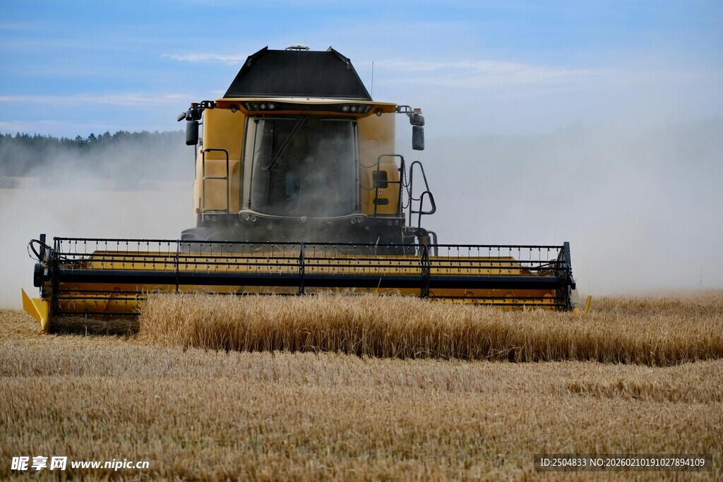 麦田里的联合 割机作业