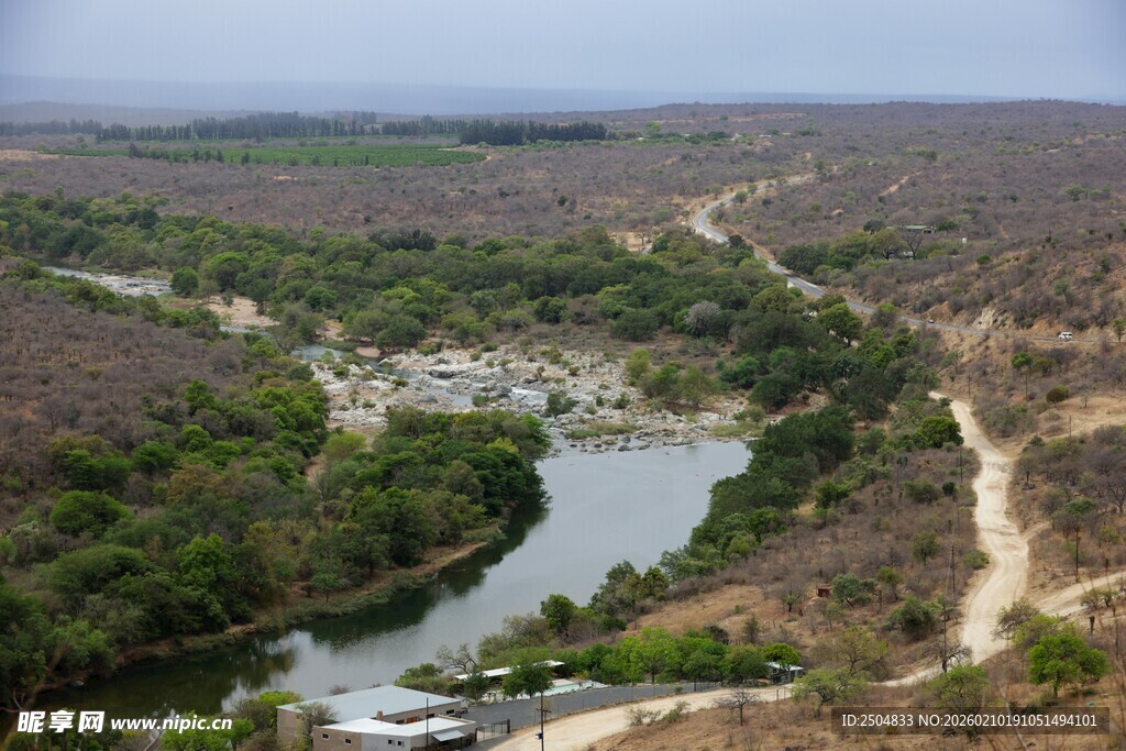 蜿蜒河流穿林而过的景观