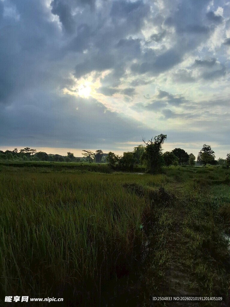 田野暮色风景