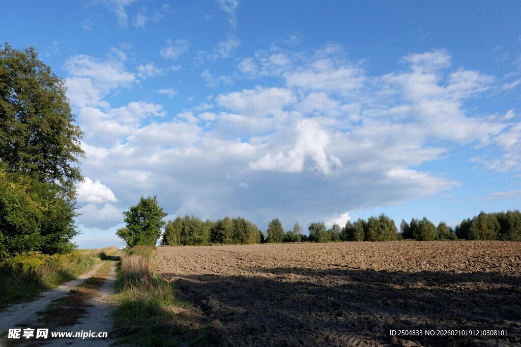 田野风光 蓝天白云绿树