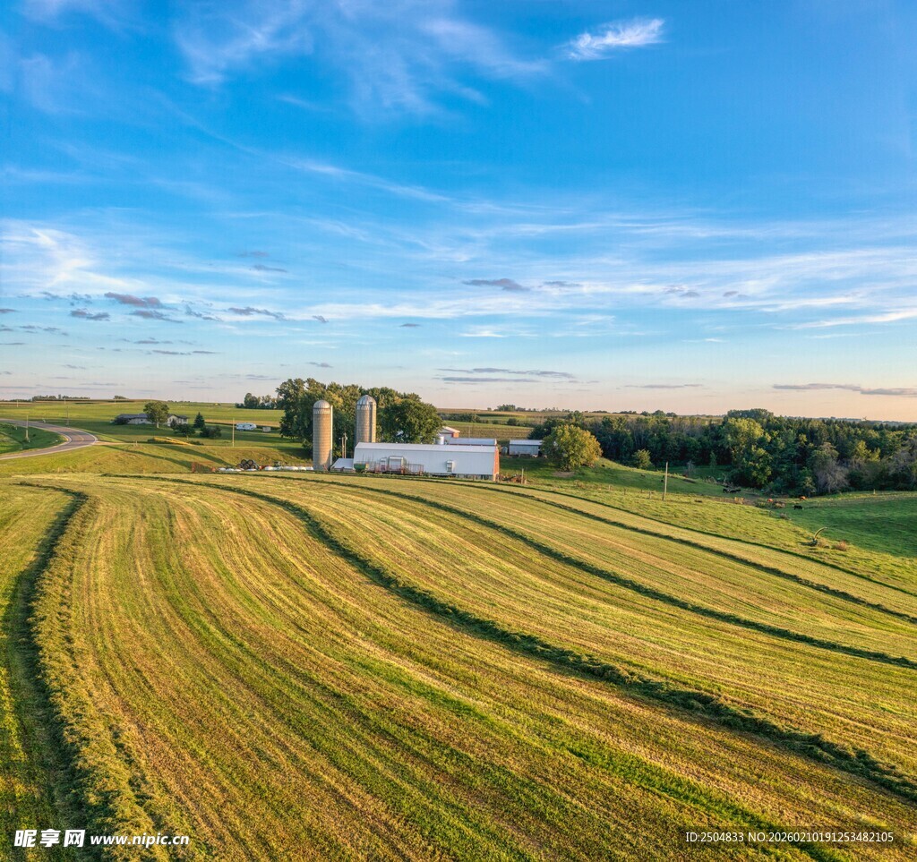 金色田野与远处白色建筑