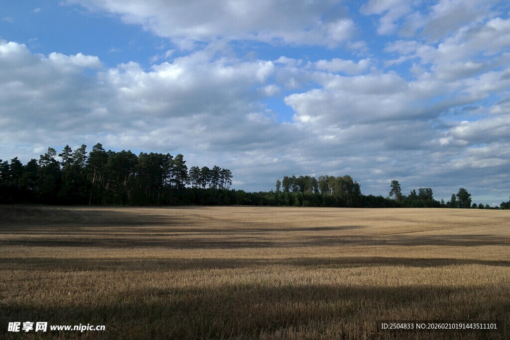 广袤田野与蓝天白云美景