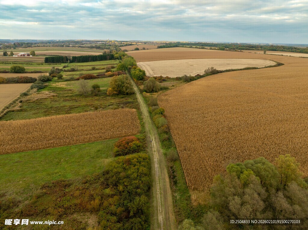田野间的公路航拍美景