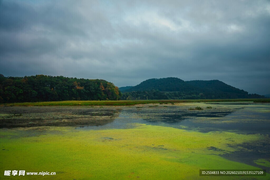 湖畔绿藻覆盖的山水景致