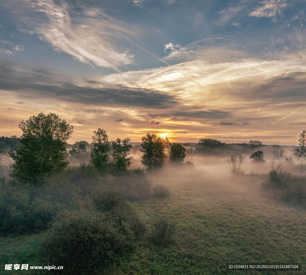 晨雾中的田野日出美景