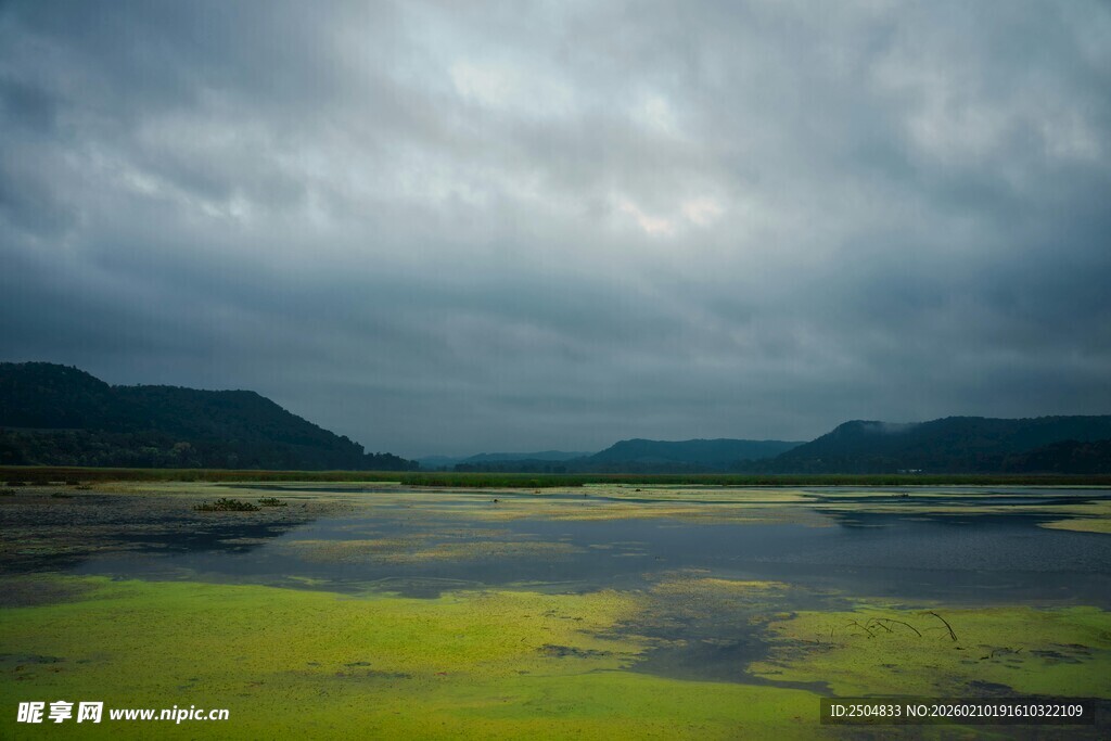 阴云下的湿地风光