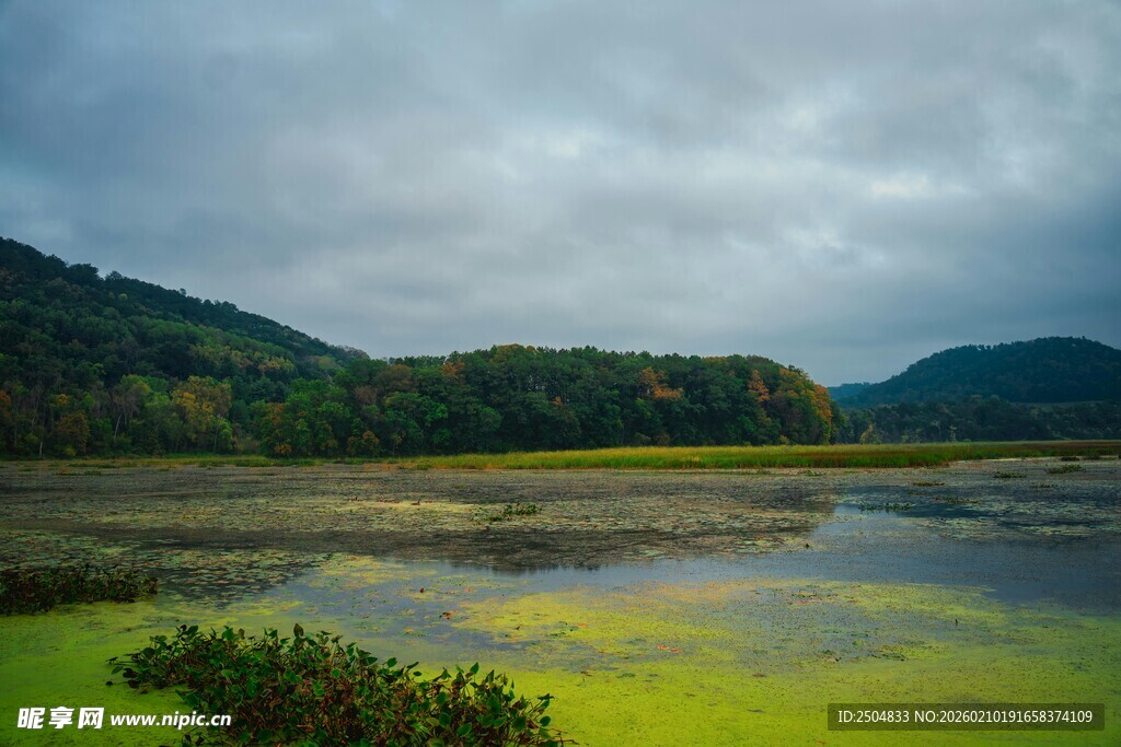 山间湿地 云雾缭绕之景