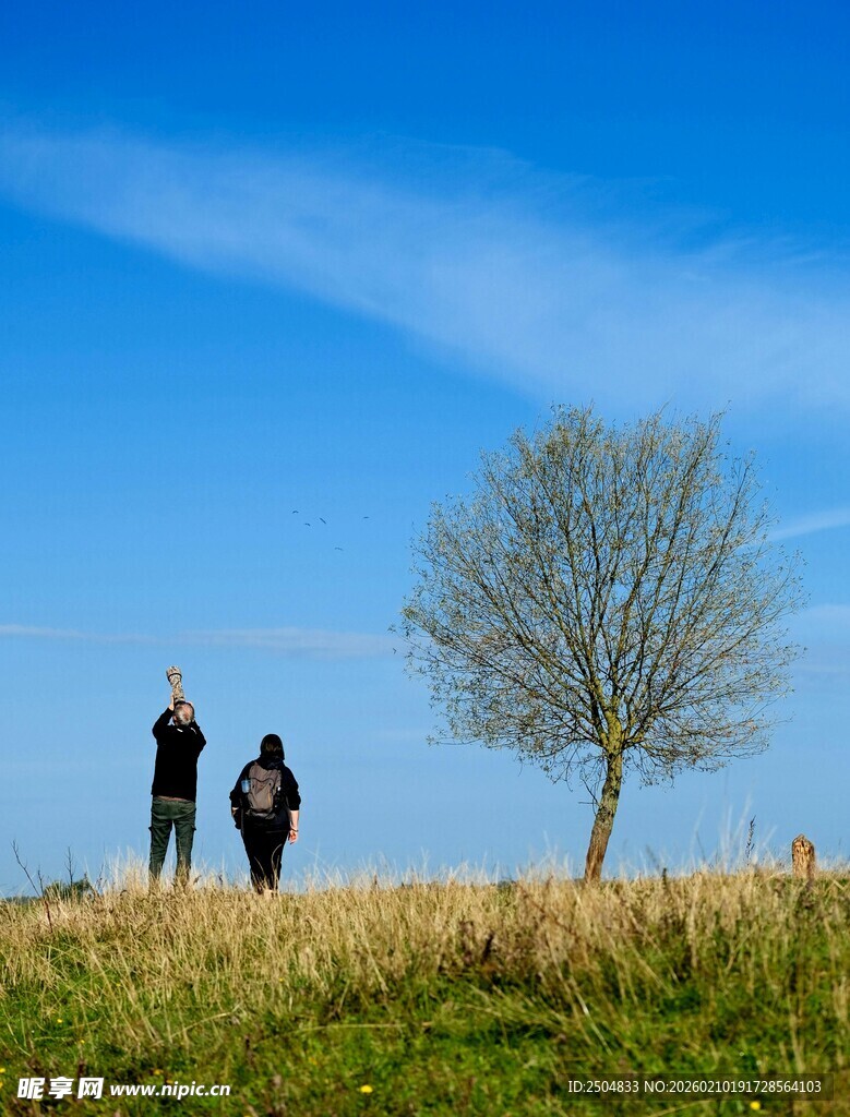 户外美景素材网站精选推荐